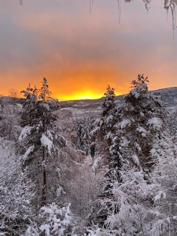 Valdres Gjestegard As - Fengselet Hove 외부 사진